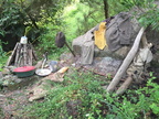Eden Project